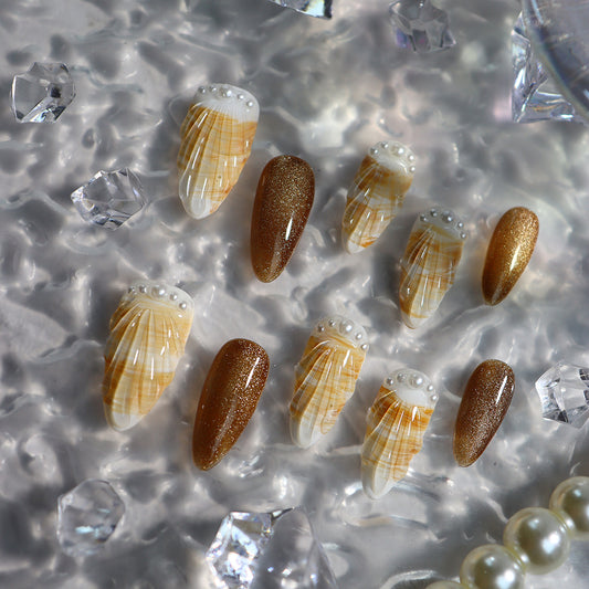 shells on the beach